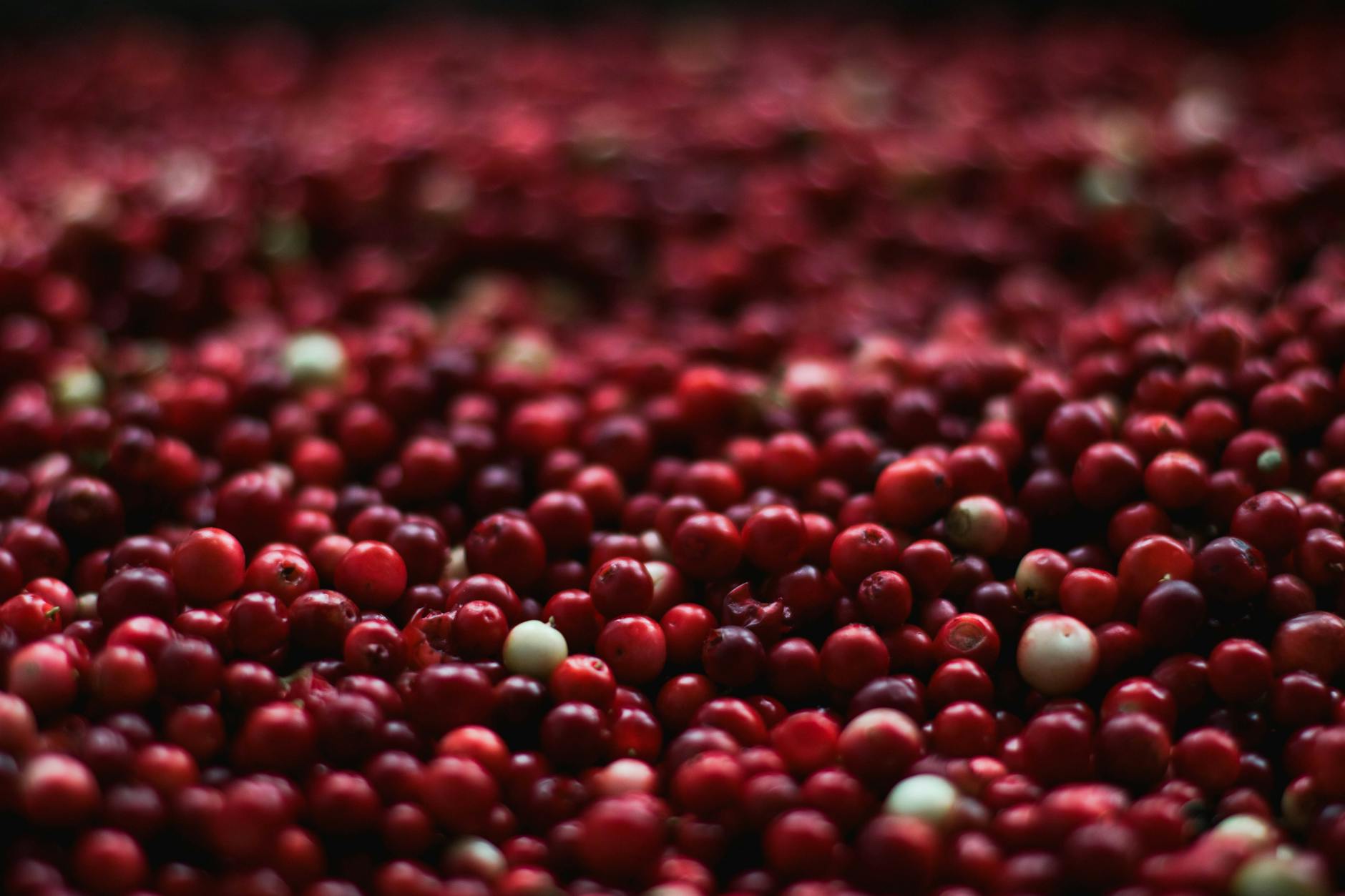 red berries