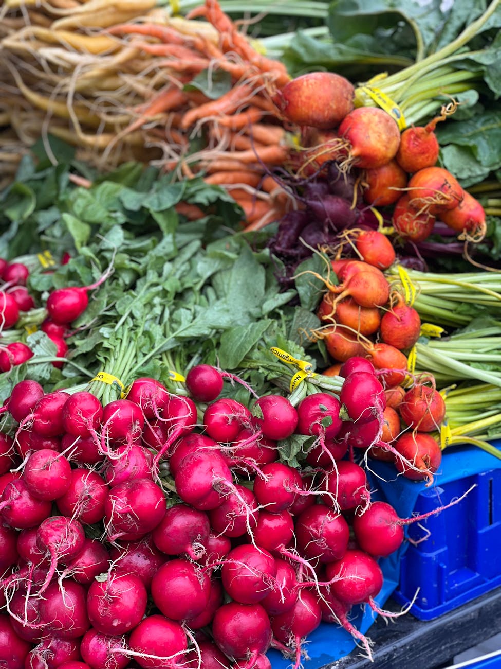abundance of radish and vegetables