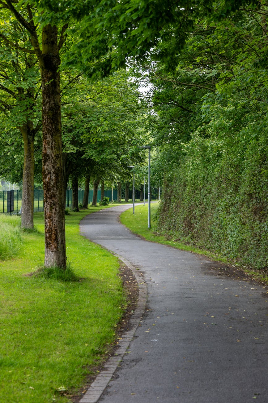 serene pathway through lush green park